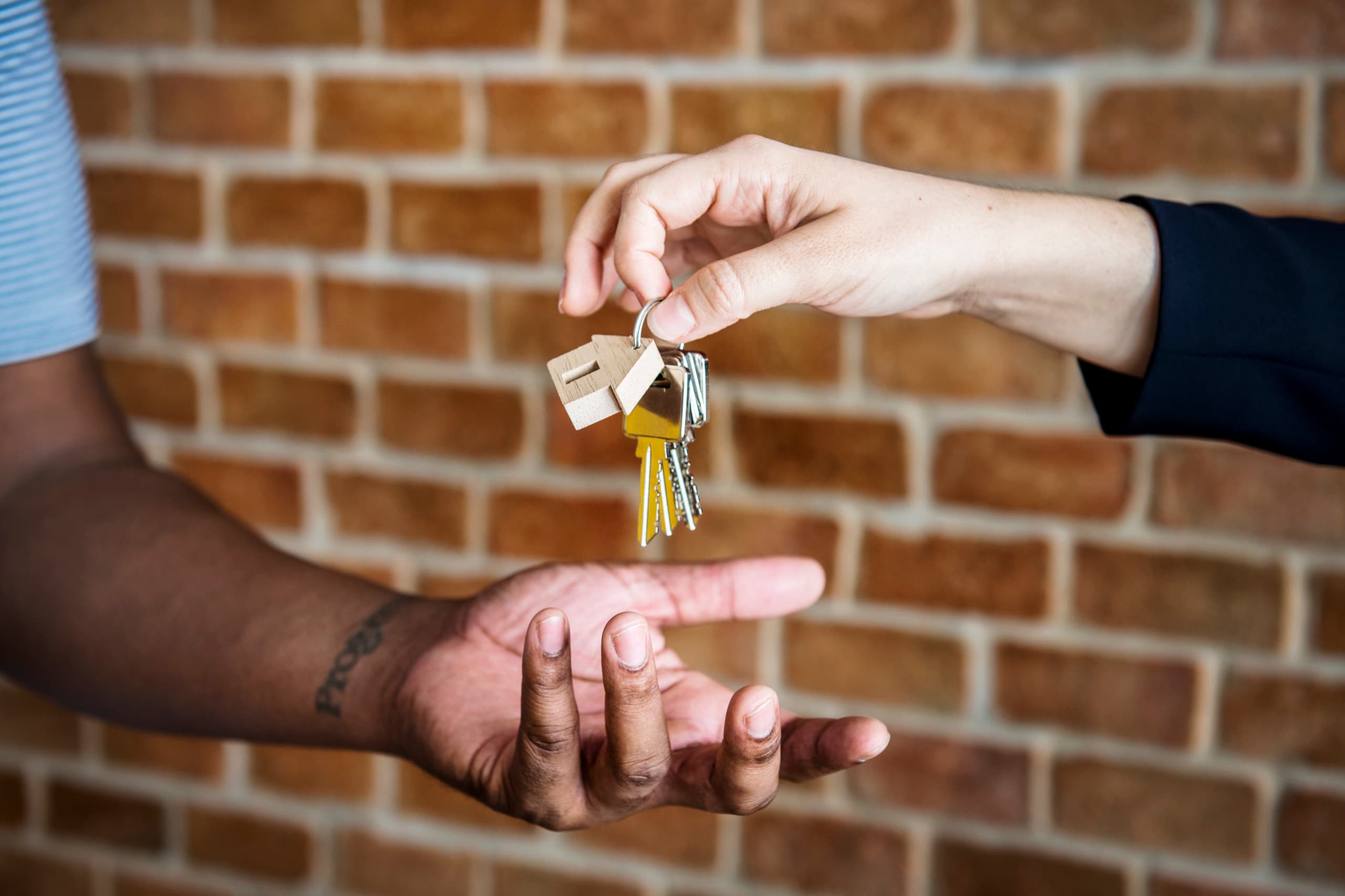 Invest in Rentals