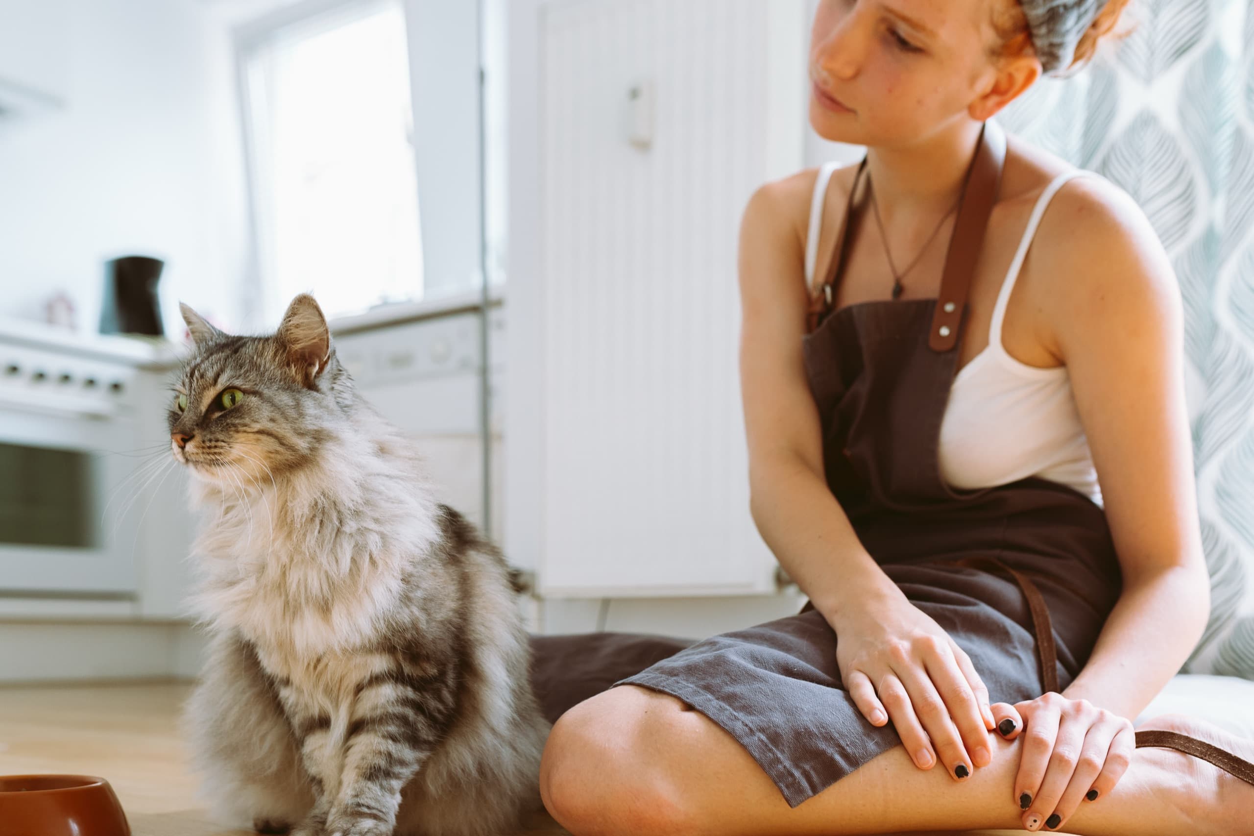 Teenager feeding domestic cat